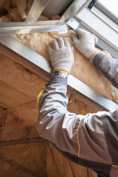 Best Professional Insulation Contractor  in Sallisaw, OK