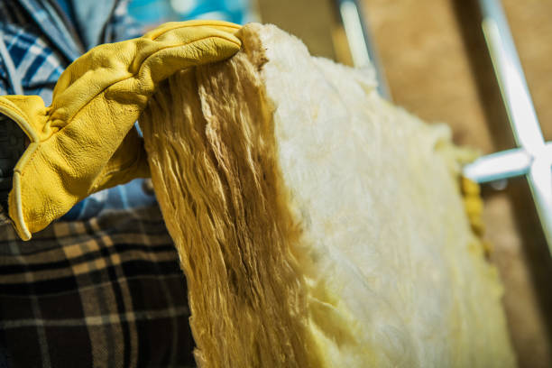 Best Energy-efficient Insulation  in Sallisaw, OK