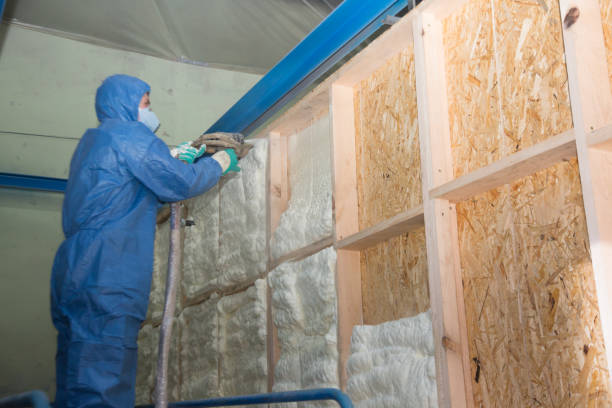 Best Insulation Repair Services  in Sallisaw, OK